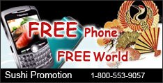 Japan cell phone rental