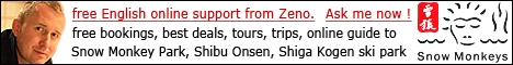 Free English Support from Zeno