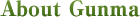 About Gunma