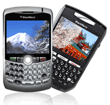 Blackberry Rental