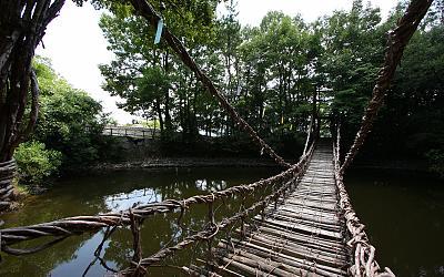 Shikoku Island, Japan Destination Guide 3 Rickity bridge on the island.