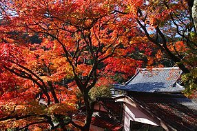 Yoshiminedera, Kyoto