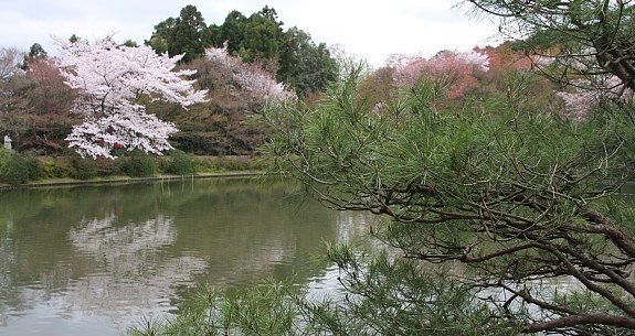 Kyoto Travel: Ryoanji Temple