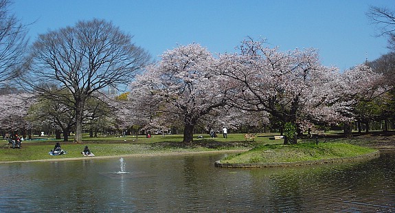 http://www.japan-guide.com/g3/3034_04.jpg