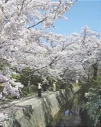 Ruta para visita a Kioto. - Kyoto: alojamiento, visitas, ✈️ Foro Japón y Corea