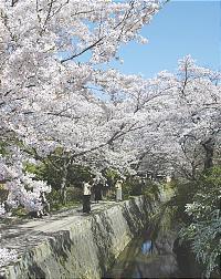 Ruta para visita a Kioto. - Viajar a Kyoto (Kioto): qué Ver, Visitas... - Japón - Forum Japan and Korea