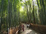 Ruta para visita a Kioto. - Foro Japón y Corea