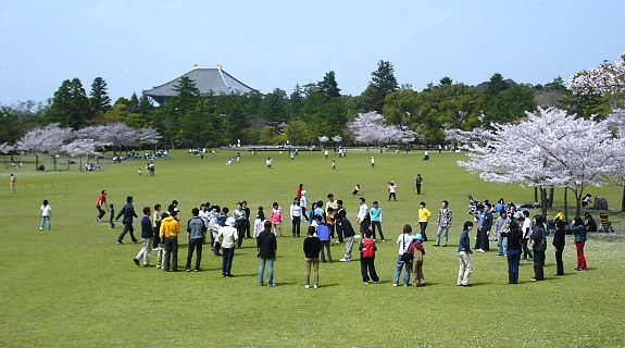 http://www.japan-guide.com/g7/4103_01.jpg