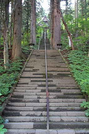 6005_05.jpg