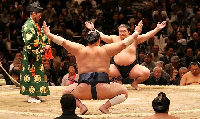  Sumo  -  2