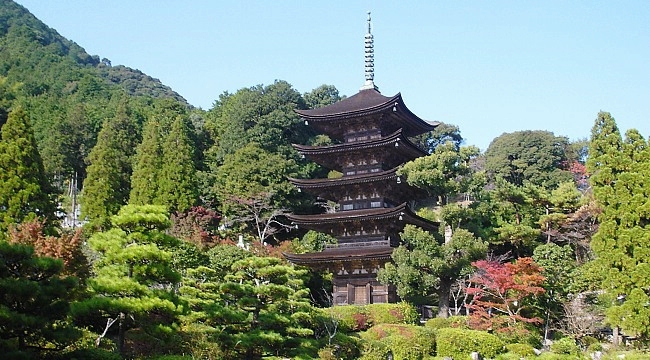 Yamaguchi Travel Guide