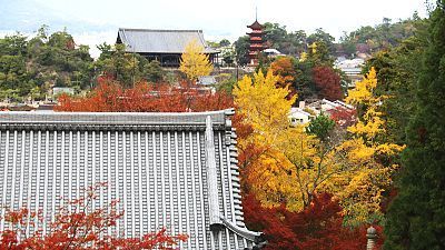 japan-guide.com - Japan Travel and Living Guide
