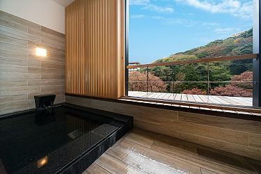 Hakone Travel  Hot Springs  Onsen 