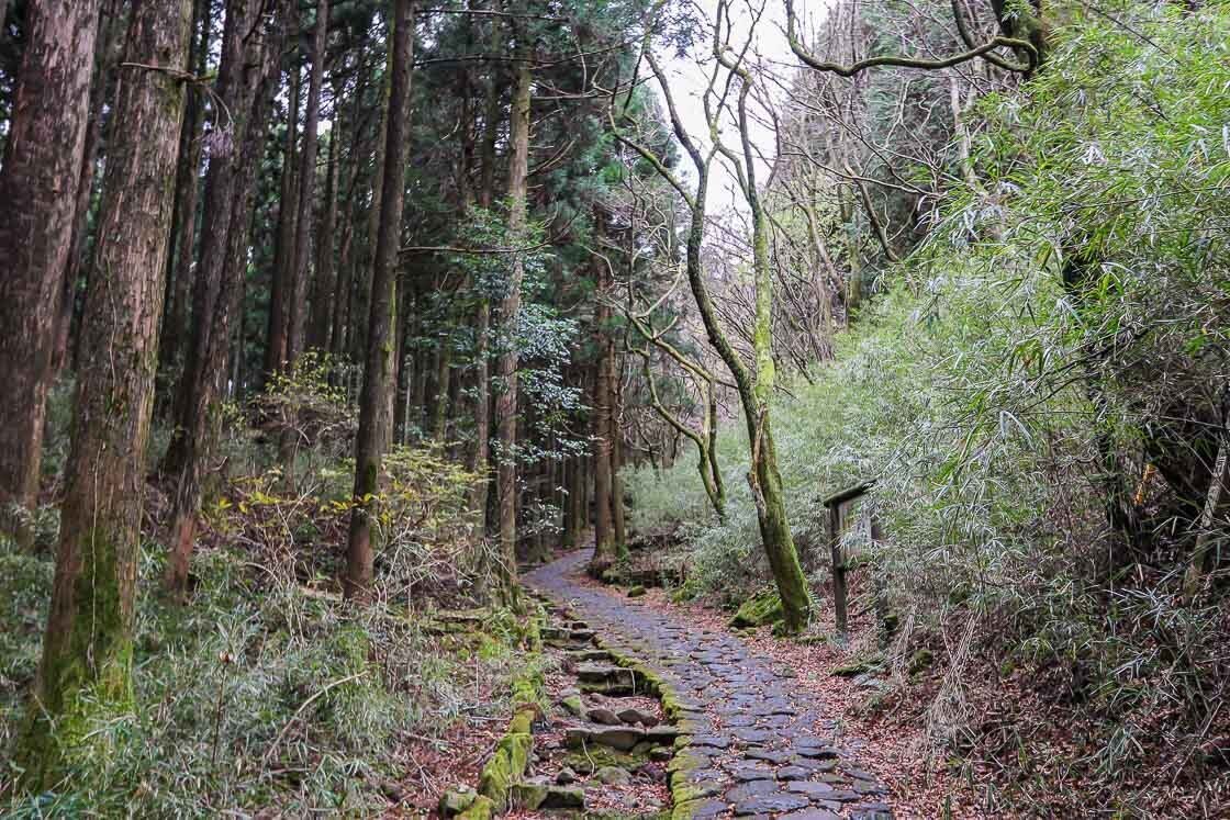 a day trip to hakone