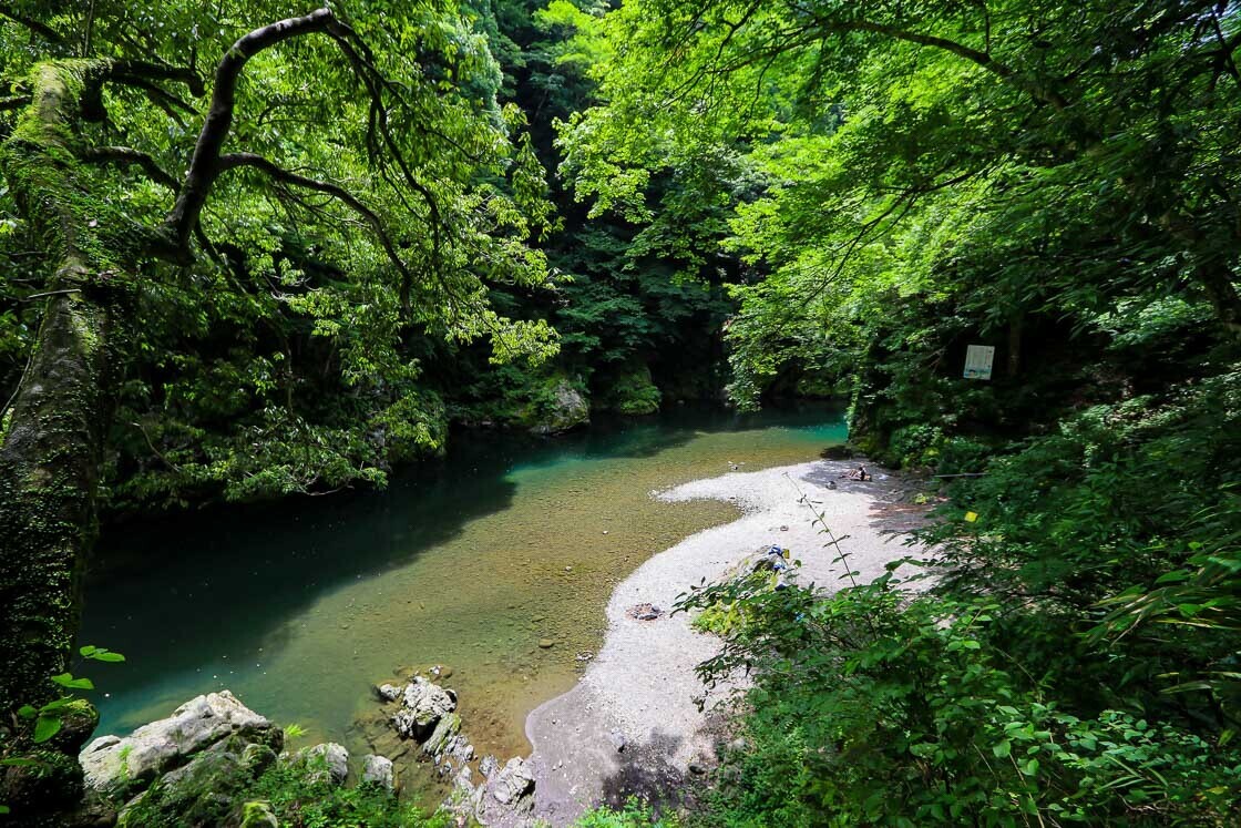 Exploring Tokyos hidden oasis