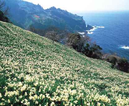 Exploring Central Japan the Vibrant Chubu and Hokuriku Regions