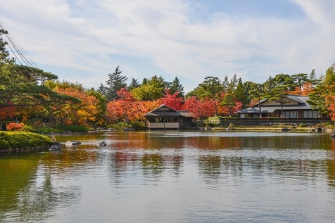 Autumn Color Reports 2019