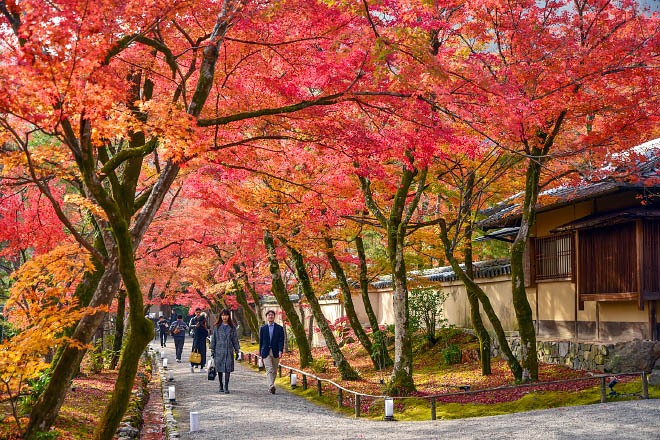 Autumn Color Reports 18 Autumn Color Reports 18