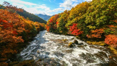 Nikko Travel Ryuzu Waterfall Ryuzu No Taki