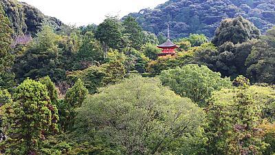 城戸 Autumn Colors 2024 白・赤ワイン set