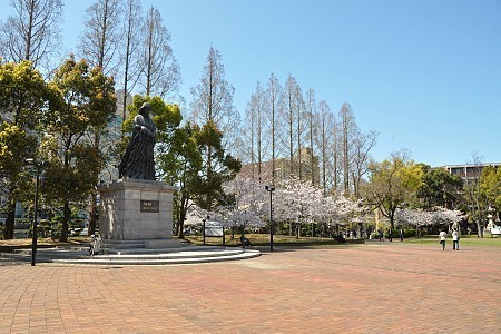 Cherry Blossom Report 2009: Nagasaki Report