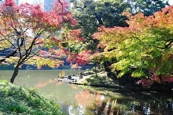 Autumn Color Report 2010: Tokyo Report
