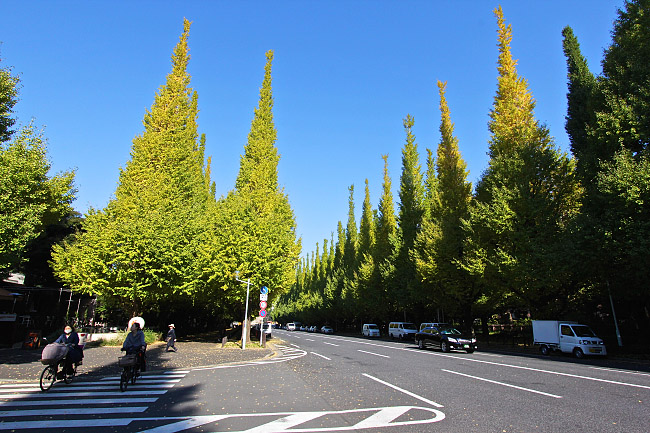 tachikawa area guide view down street near station - Blog