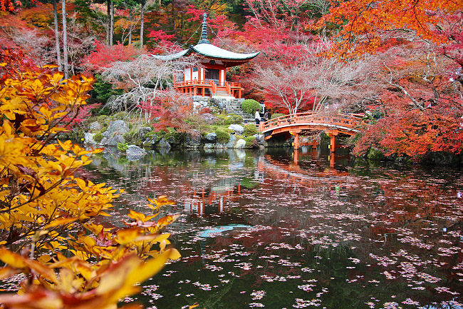Joe's Japan Travel Journal: Autumn Color Report: Kyoto