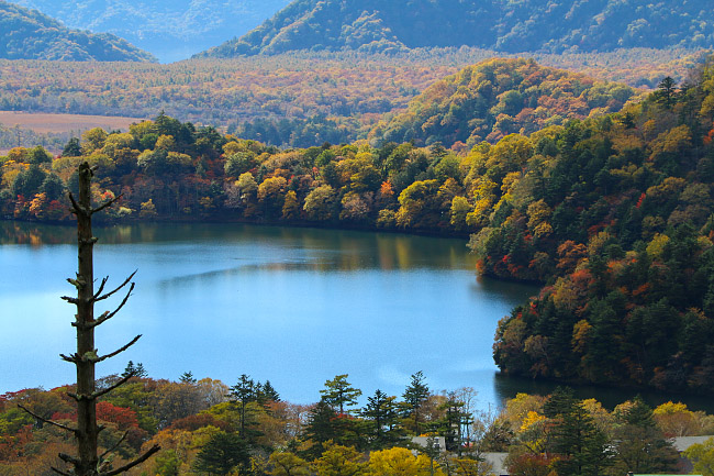 161018_nikko_16.jpg?profile=RESIZE_710x