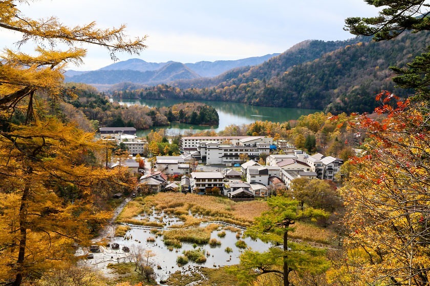 171024_nikko_12.jpg?profile=RESIZE_710x