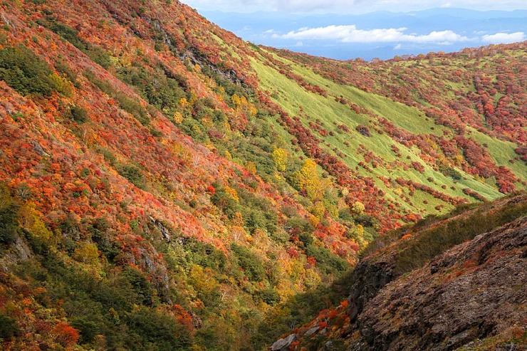 Autumn Color Reports 2018 - Nasu: Peak Colors