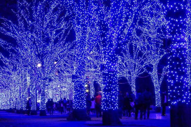 Raina's Japan Travel Journal: Winter Illuminations in Tokyo