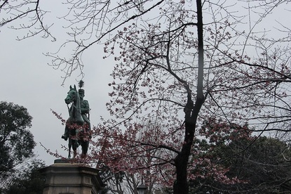 Raina's Japan Travel Journal: Tokyo Plum Blossom Report