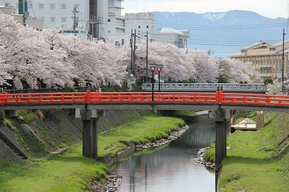 Cherry Blossom Report 2012: Tottori Report