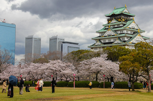 Cherry Blossom Report 2017 Osaka