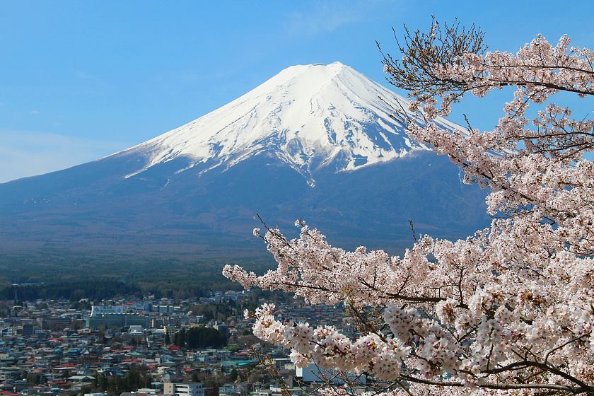 Sakura season underway in Japan