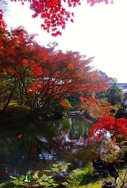 Japan Travel Reports: Kyoto Autumn Report - Central Kyoto to Higashiyama