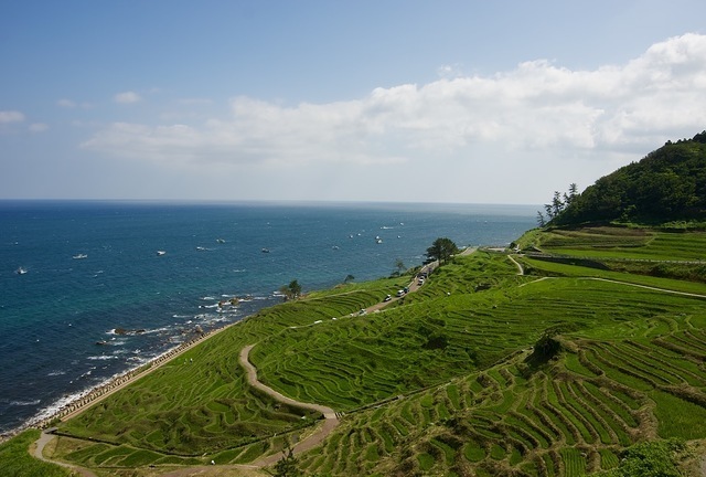 Hasil gambar untuk NOTO PENINSULA