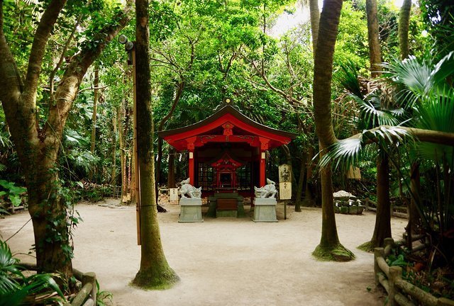 Aoshima's Hidden Japanese Garden - Miyazaki - Japan Travel
