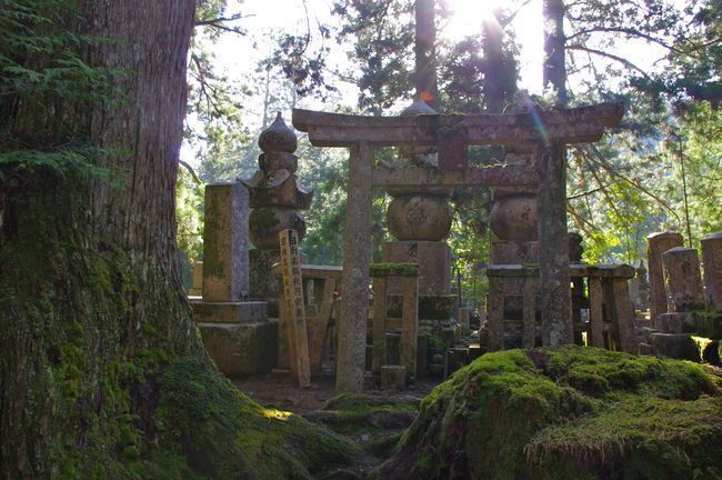 Káº¿t quáº£ hÃ¬nh áº£nh cho Okunoin Temple