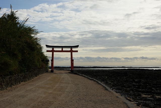 Aoshima Shrine KYUSHU x TOKYO (JAPAN)