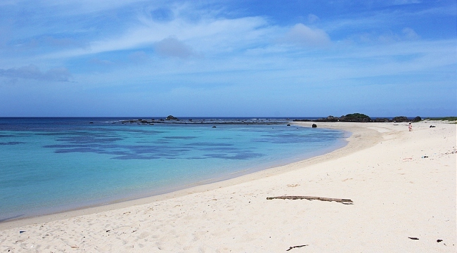 Resultado de imagem para amami oshima beach