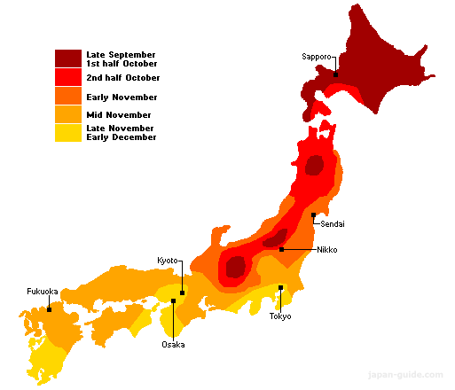 Autumn Leaves In Japan When Do Trees Turn Colors