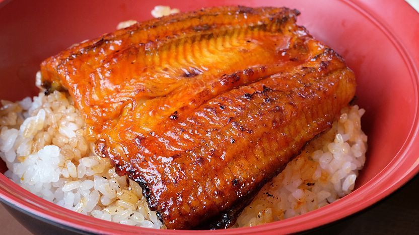 Unagi - grilled freshwater eel
