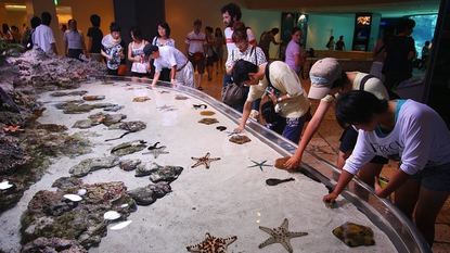 Churaumi Aquarium - Okinawa Travel