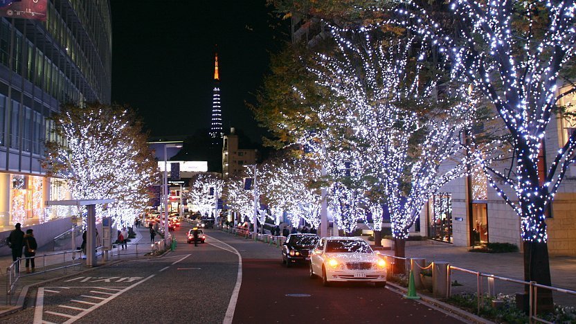 Our Favorite Tokyo Designer Christmas Trees of 2022