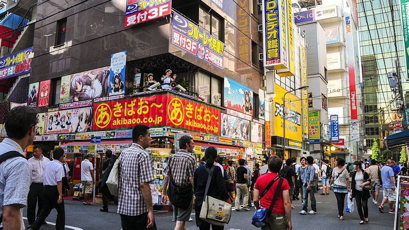 akihabara cruise