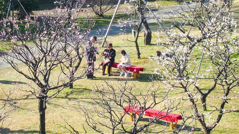 Tokyo Travel Kyu Shiba Rikyu Garden