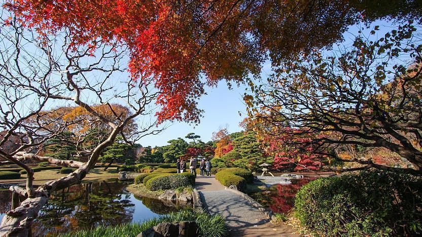 Imperial Palace East Gardens Tokyo Travel