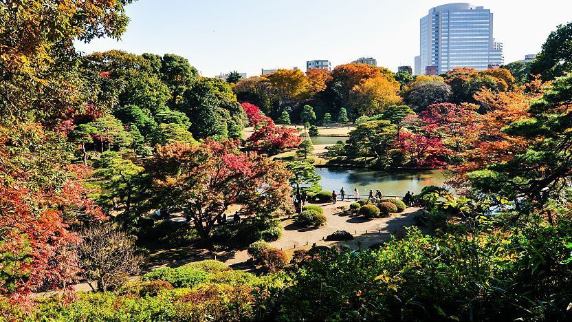 Tokyo Travel Rikugien Garden